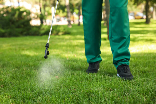 Trusted Franklin, TN Pest Control Experts