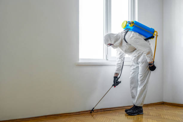 Best Pest Control for Businesses  in Franklin, TN