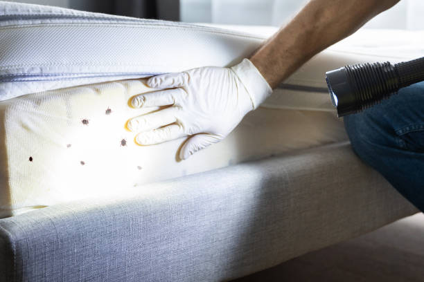 Best Exterminator Services  in Franklin, TN