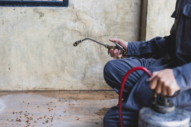 Best Pest Prevention Services  in Franklin, TN