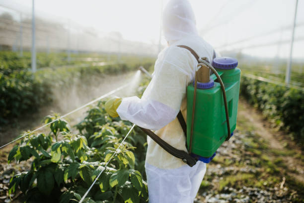 Best Bed Bug Extermination  in Franklin, TN